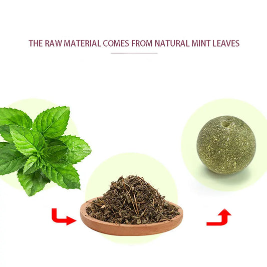 Cats Catnip Cat Toy Natural Ball Removal Cat Grass Treats to Improve Digestion Wall Sticker Scratch Itchy Treat Healthy Supplie